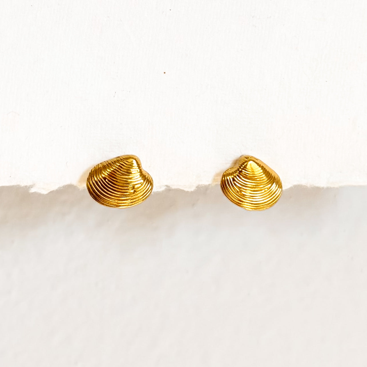 Little oyster studs