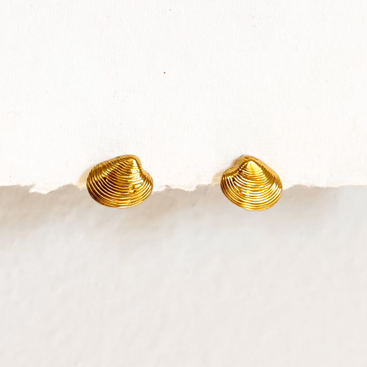 Little oyster studs