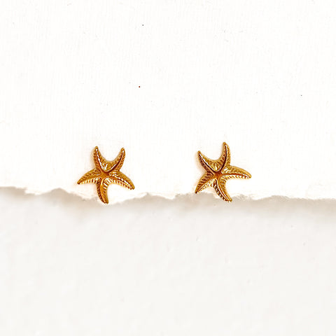 Sea Star Studs