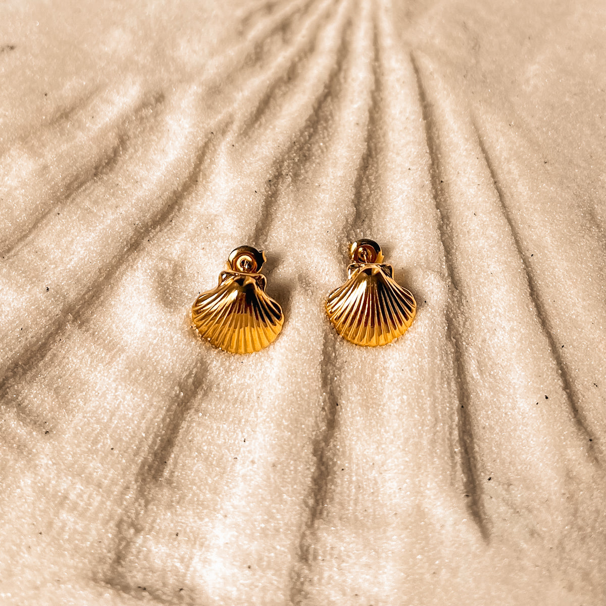 Shell Earring