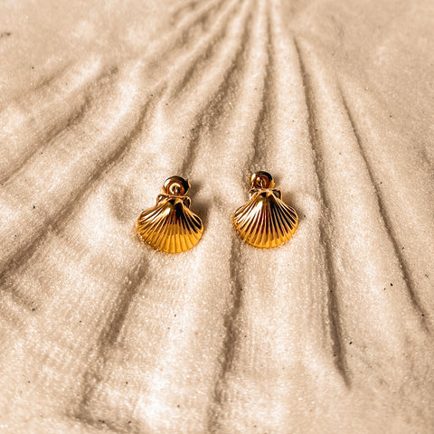 Shell Earring