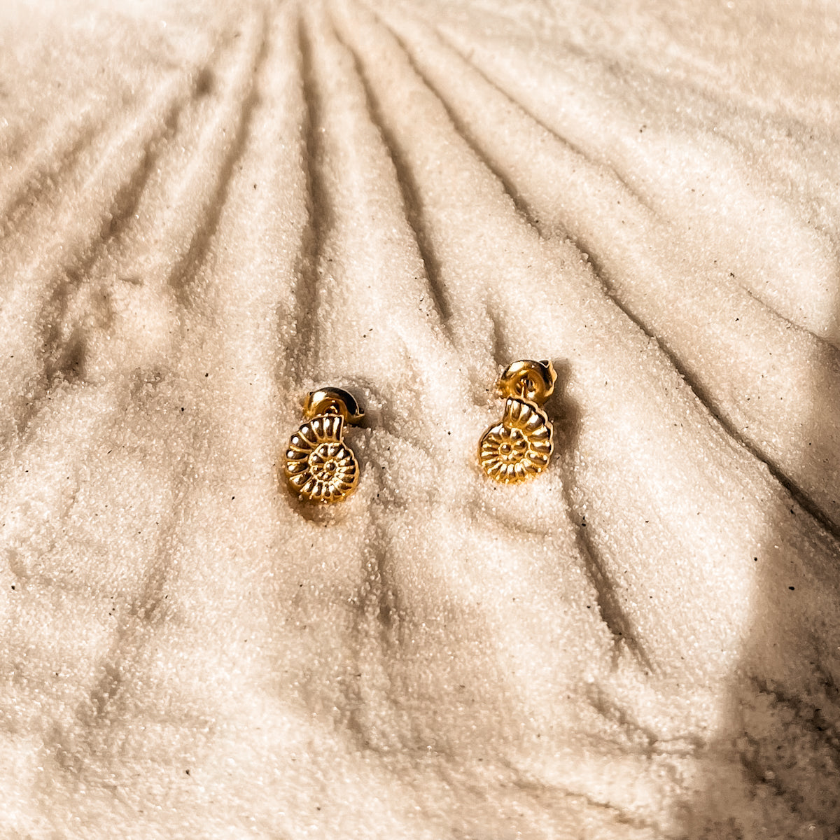 Mini Snail Studs