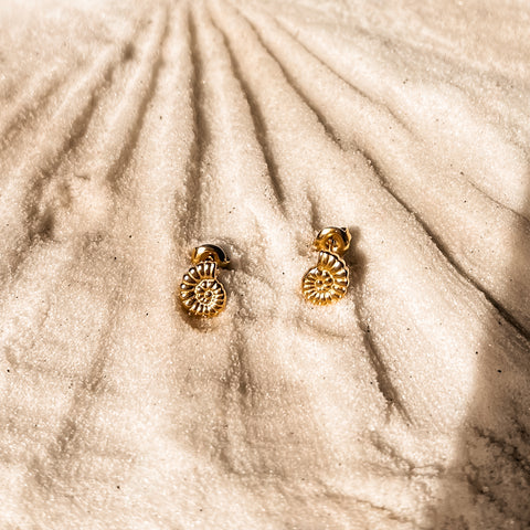 Mini Snail Studs