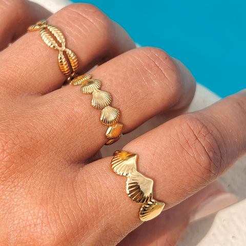 Shell Ring